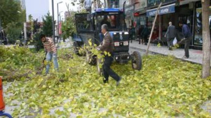 G&ouml;z d&ouml;nemi ağa&ccedil; budama &ccedil;alışmaları başladı