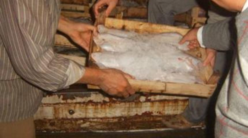 Bandırma'da boy yasağına uymayan balık&ccedil;ılara ceza kesildi