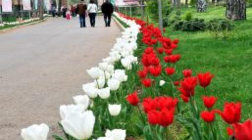 Kepez Belediyesi, ilçeye 210 bin çiçek soğanı dikecek