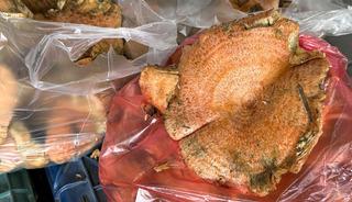 Ormandan topluyorlar: Kilosu 500 TL! Bir&ccedil;ok kişinin ekmek kapısı 