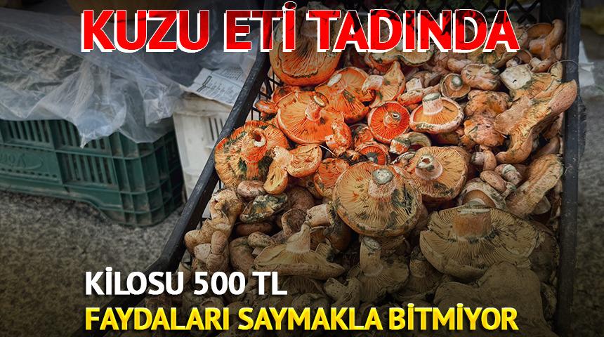 Kuzu eti tadında mantar! Kilosu 500 TL: Faydaları saymakla bitmiyor