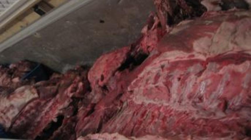 Zeytinburnu&rsquo;nda domuz eti operasyonu