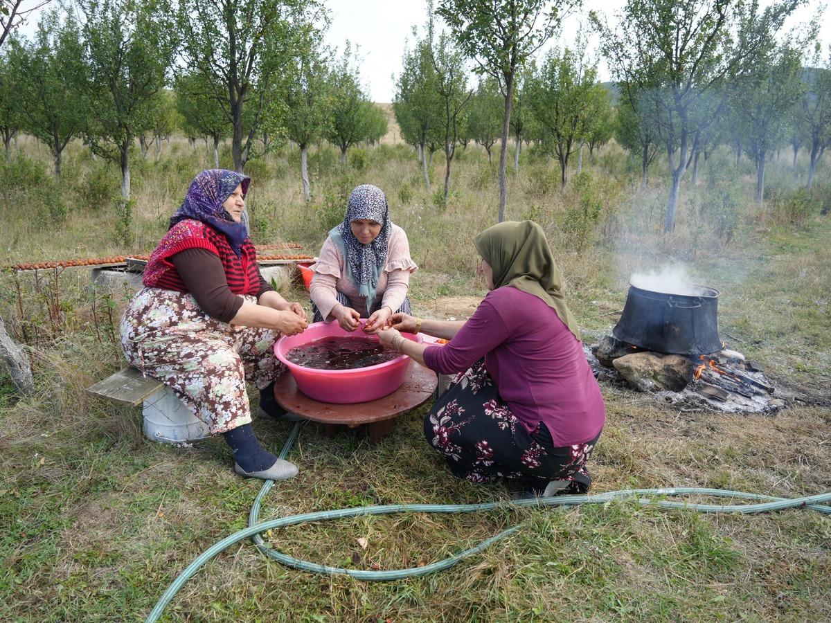 Raf ömrü 3 yıla kadar çıkıyor! Türkiye de sadece Kastamonu da yetişiyor 2