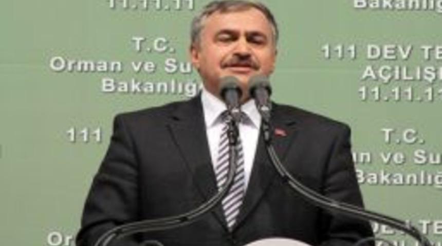 Ankara &ccedil;ayının taban ve duvar kaplamaları tamamlandı