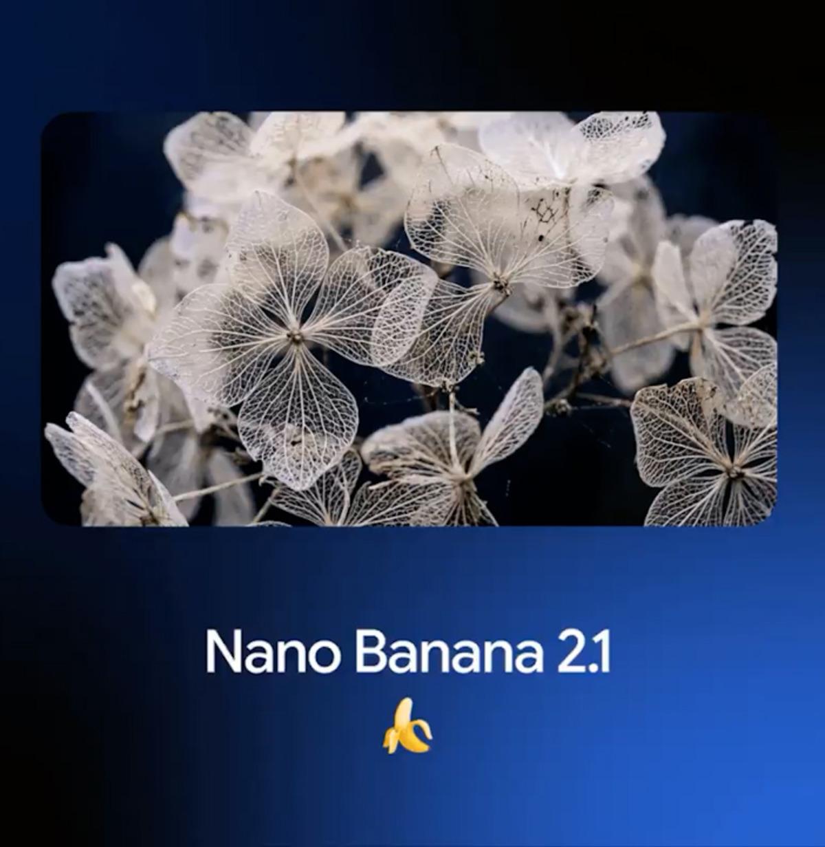 ChatGPT Images 2.5 a rakip: Google, Nano Banana 2.1’i duyurdu! 2