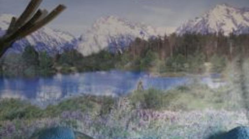 Hayvanat bah&ccedil;esindeki canlılar elektrikli ısıtıcıyla korunuyor