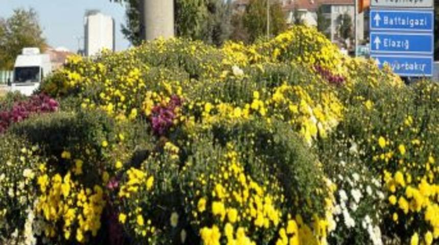 Malatya&rsquo;da caddeler kış &ccedil;i&ccedil;ekleriyle s&uuml;sleniyor