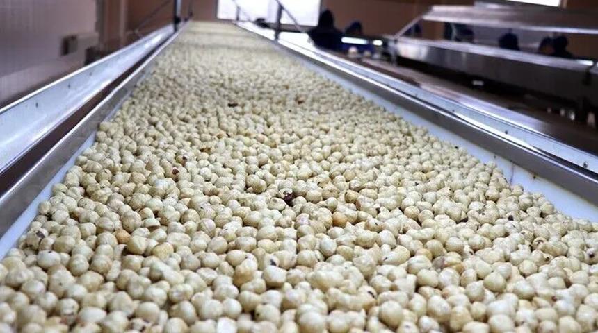 Ticaret borsalarında ağustosta 39 bin tonu aşkın fındık işlem g&ouml;rd&uuml;