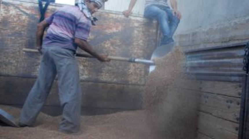 "Kırmızı mercimek &uuml;retiminde ciddi d&uuml;ş&uuml;ş yaşanıyor"