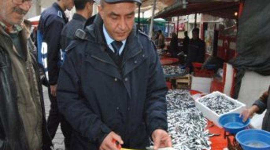 Eline metreyi alan zabıta balıkları ölçtü