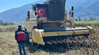 Simav’da Yüzde 75 hibeli ayçiçeğinde hasat kontrolü