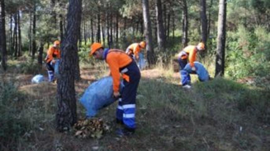 Yaprakları topluyorlar
