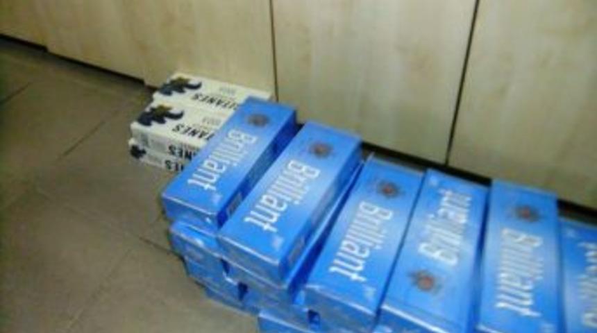 Dedekt&ouml;r k&ouml;pekler ka&ccedil;ak&ccedil;ıları affetmiyor