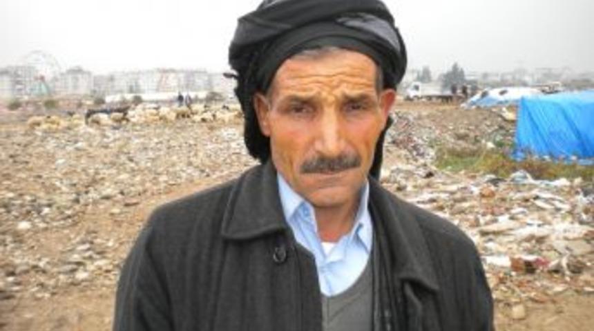 Hayvan fiyatları y&uuml;kselişe ge&ccedil;ti