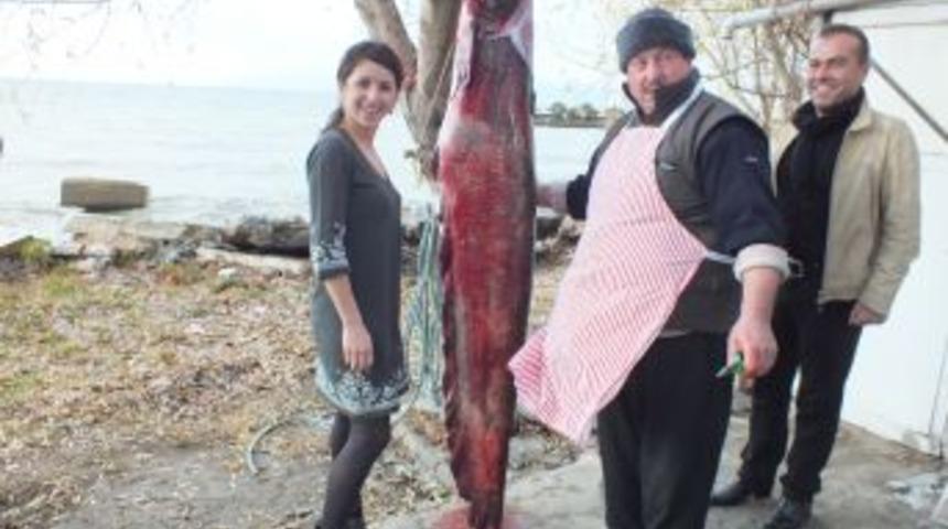 İznik G&ouml;l&uuml;'nde dev bir balık yakalandı