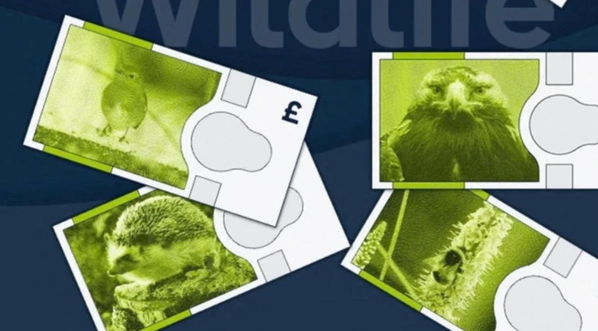 İngiltere Merkez Bankası açıkladı: Yeni banknotlarda bu hayvanlar yer alacak 1