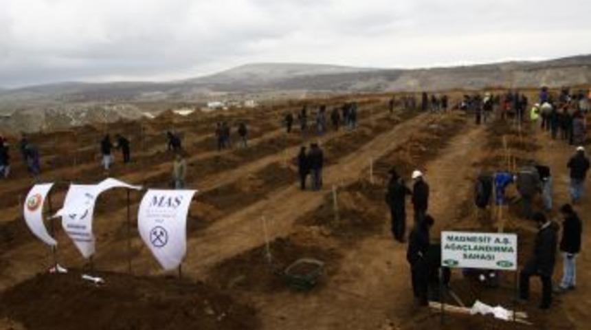 Maden sahası yeniden doğaya kazandırılıyor