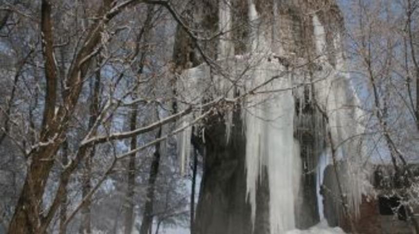 Ağrı'da soğuklar hayatı olumsuz etkiliyor