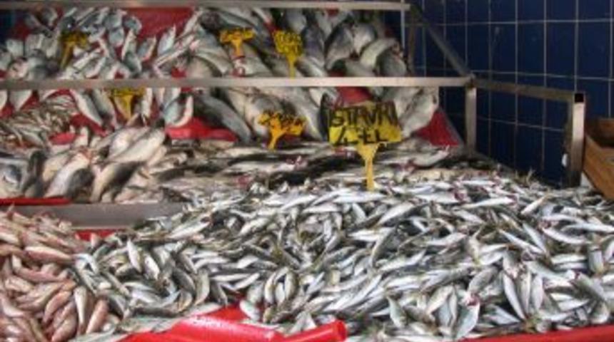 Karadeniz'den erken ka&ccedil;an hamsinin fiyatı tavan yaptı