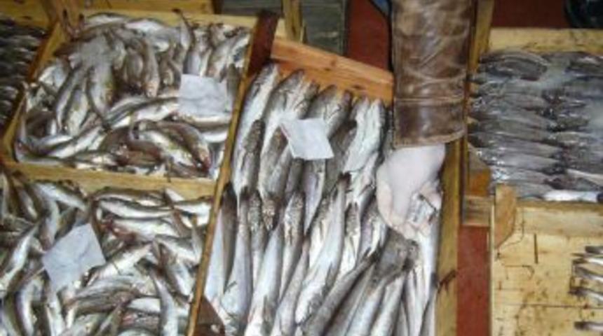 K&uuml;&ccedil;&uuml;k boyda l&uuml;fer avlayan 18 kişiye idari para cezası