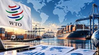 Dünya ticaretinde hesaplar değişti! DTÖ tahminini ikiye katladı