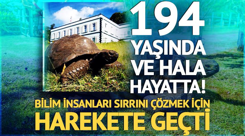 194 yaşında ve hala hayatta! Sırrı nedir?