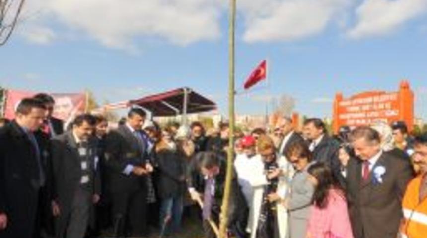 Depremde hayatını kaybeden ve şehit olan &ouml;ğretmenler anısına hatıra ormanı