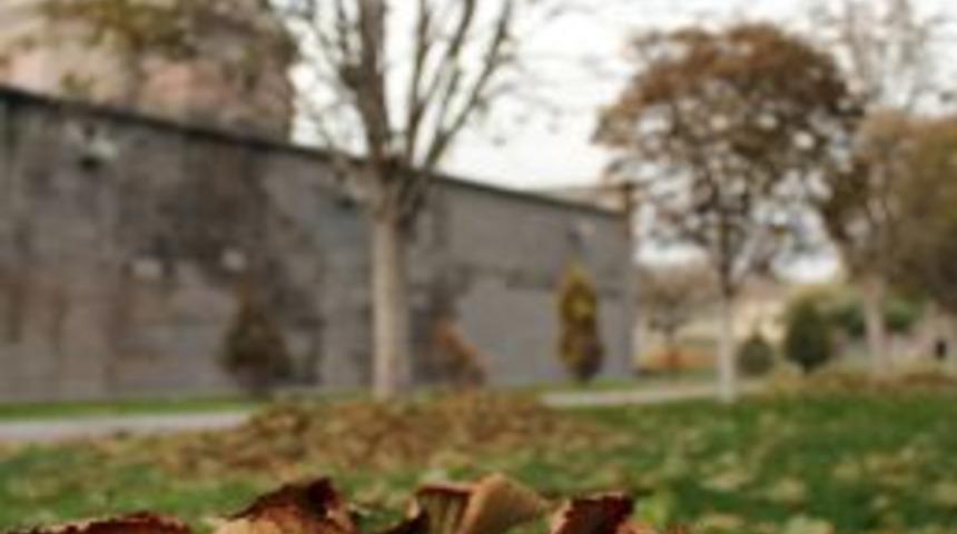 Kayseri'de sonbahar temizliği