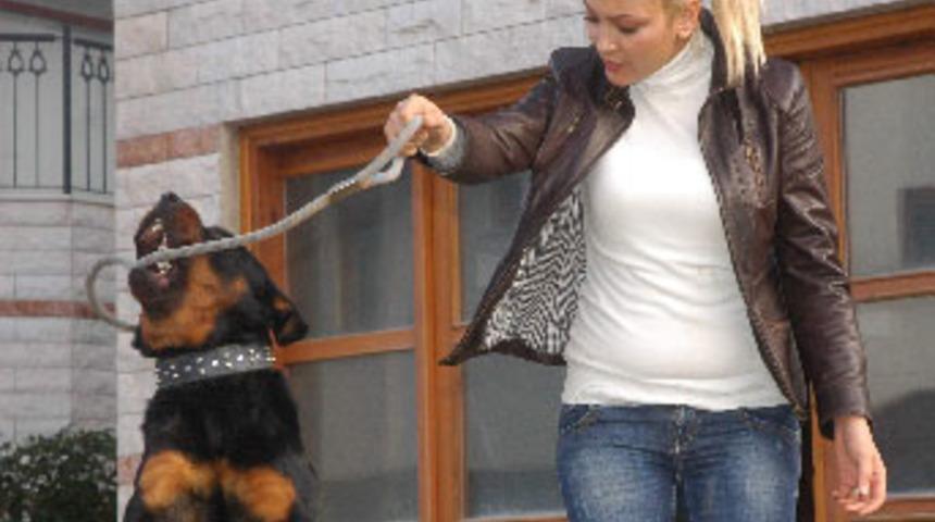 K&ouml;pekleri i&ccedil;in villa kiraladı