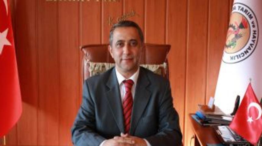 Osmaniye&rsquo;de dişi buzağı başına 25 TL destekleme verilecek