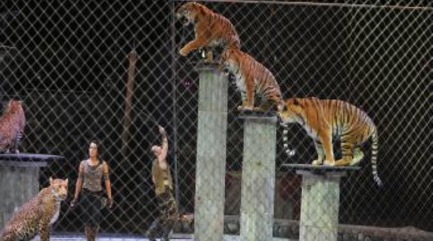 Başkent'te Büyük Ankara Sirki coşkusu devam ediyor