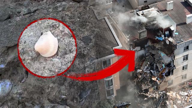 Maltepe'de çöken binanın enkazında akılalmaz görüntü: Betondan deniz kabuğu çıktı!