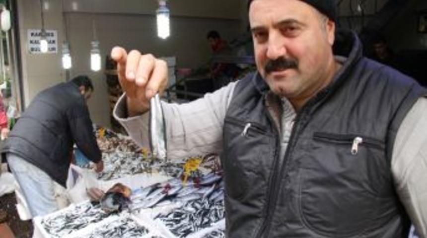 G&uuml;nl&uuml;k 5 bin ton avlanan hamsinin kilosu 1,5 liraya d&uuml;şt&uuml;