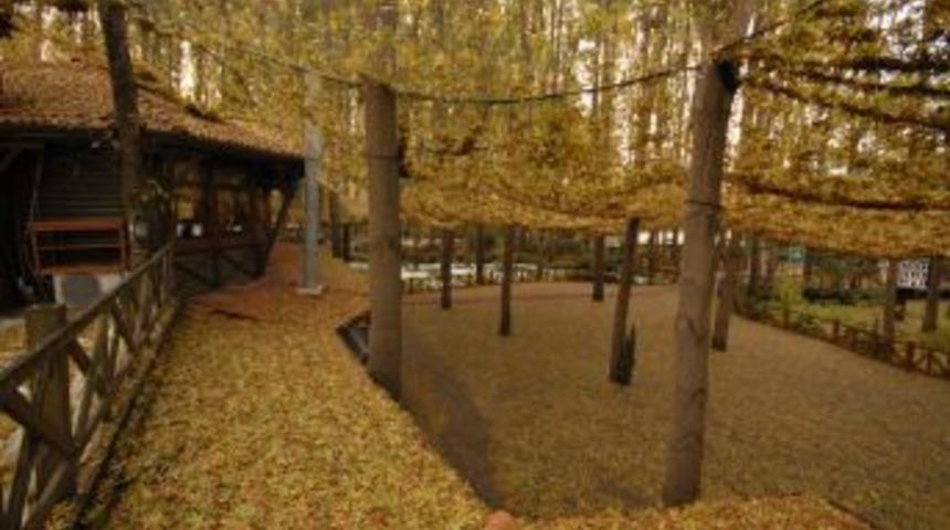 Ormanpark'ta sonbahar bir başka g&uuml;zel