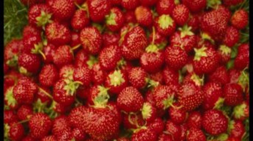 'Kendinizi kötü hissettiğinizde muz tüketin'