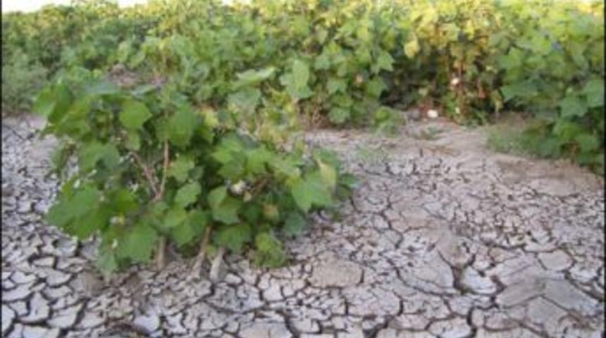 Hatay&rsquo;dan Burdur&rsquo;a mesaj: Biz kuruduk siz de kurumayın