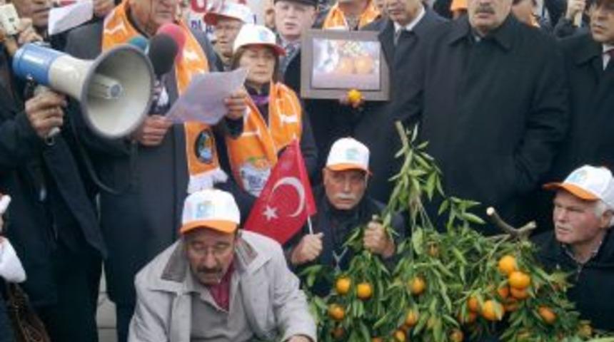 Bakanlık &ouml;n&uuml;ndeki 'mandalinalı' eyleme CHP, MHP ve BDP'den destek