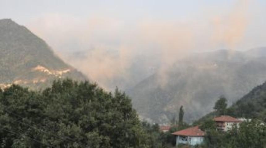 5 k&ouml;yden Cumhurbaşkanı G&uuml;l&rsquo;e mektup: Şelalelerimizi koruyun