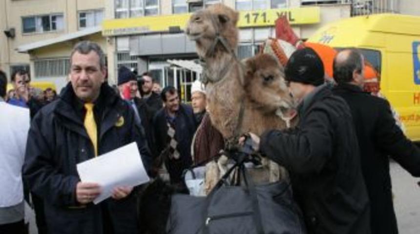 Tayin edildiği &Ccedil;anakkale'ye gitmek i&ccedil;in eşek ve deveyle yola &ccedil;ıktı