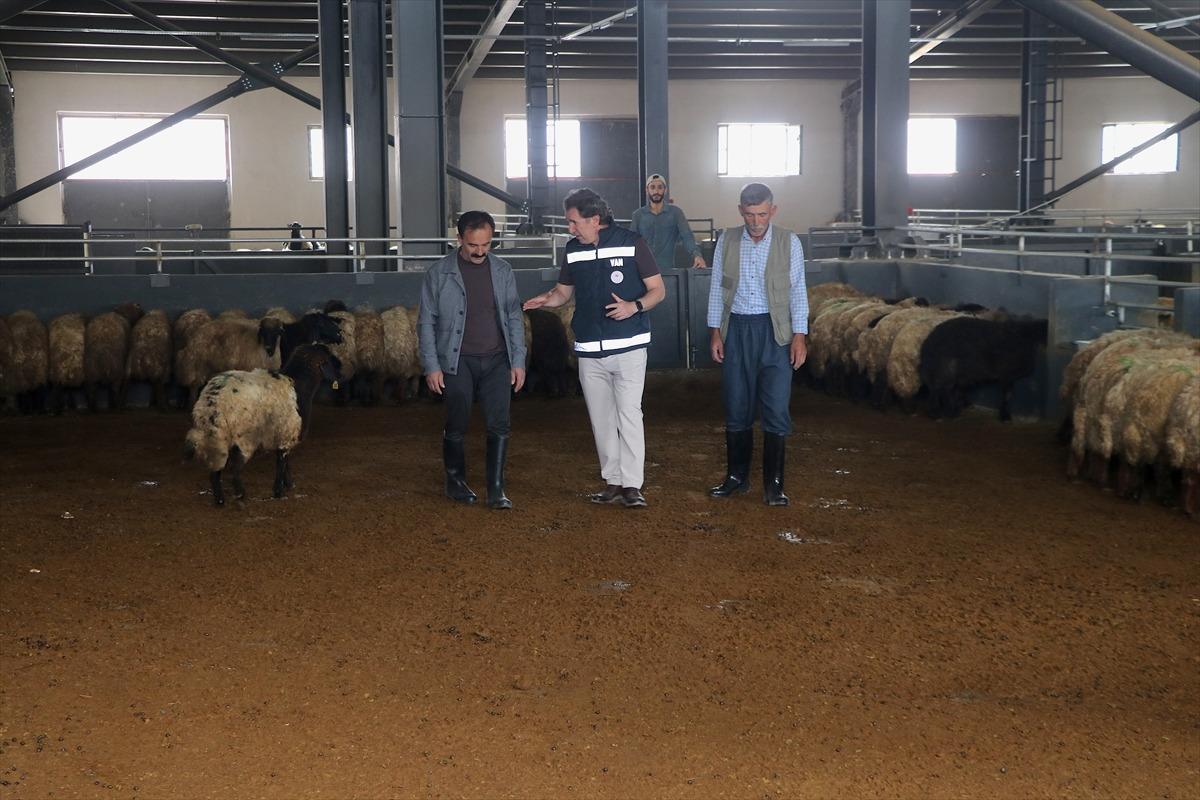 Bulaşık yıkayarak başladığı iş hayatında modern &ccedil;iftlik kurdu 4