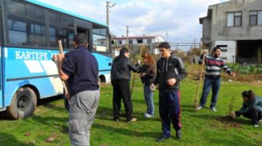 &Uuml;niversiteli &ouml;ğrenciler fıstık &ccedil;amı dikti