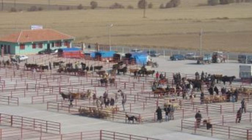 Sarıkaya'da canlı hayvan pazarının sorunları konuşuldu