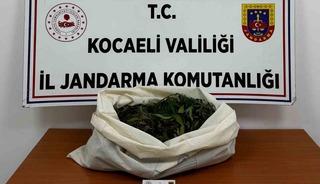 Kocaeli&rsquo;de jandarmadan 4 il&ccedil;ede uyuşturucu operasyonu