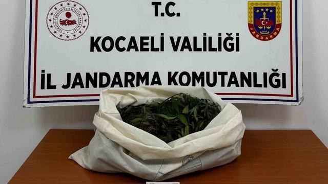 Kocaeli’de jandarmadan 4 ilçede uyuşturucu operasyonu