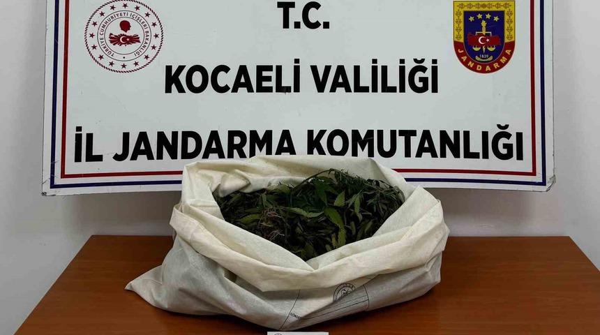 Kocaeli&rsquo;de jandarmadan 4 il&ccedil;ede uyuşturucu operasyonu