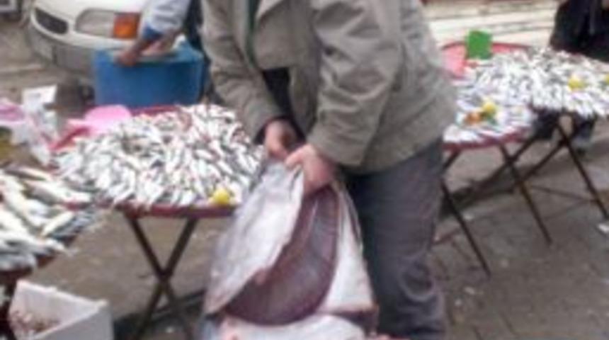 Şuhut'ta 150 kilogramlık orkinos ilgi g&ouml;rd&uuml;