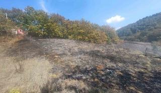 Bolu&rsquo;da ot yangını b&uuml;y&uuml;meden s&ouml;nd&uuml;r&uuml;ld&uuml;