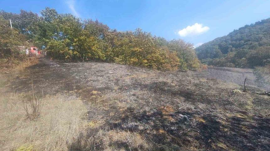 Bolu&rsquo;da ot yangını b&uuml;y&uuml;meden s&ouml;nd&uuml;r&uuml;ld&uuml;