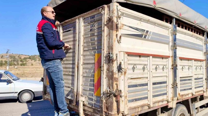 Canlı hayvan nakline y&ouml;nelik denetimler s&uuml;r&uuml;yor