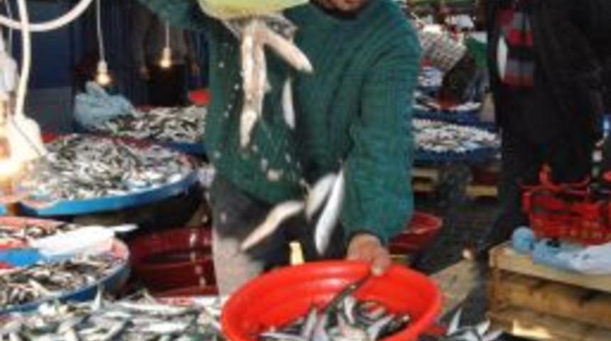 Edremit K&ouml;rfezi&rsquo;nde balık bereketi